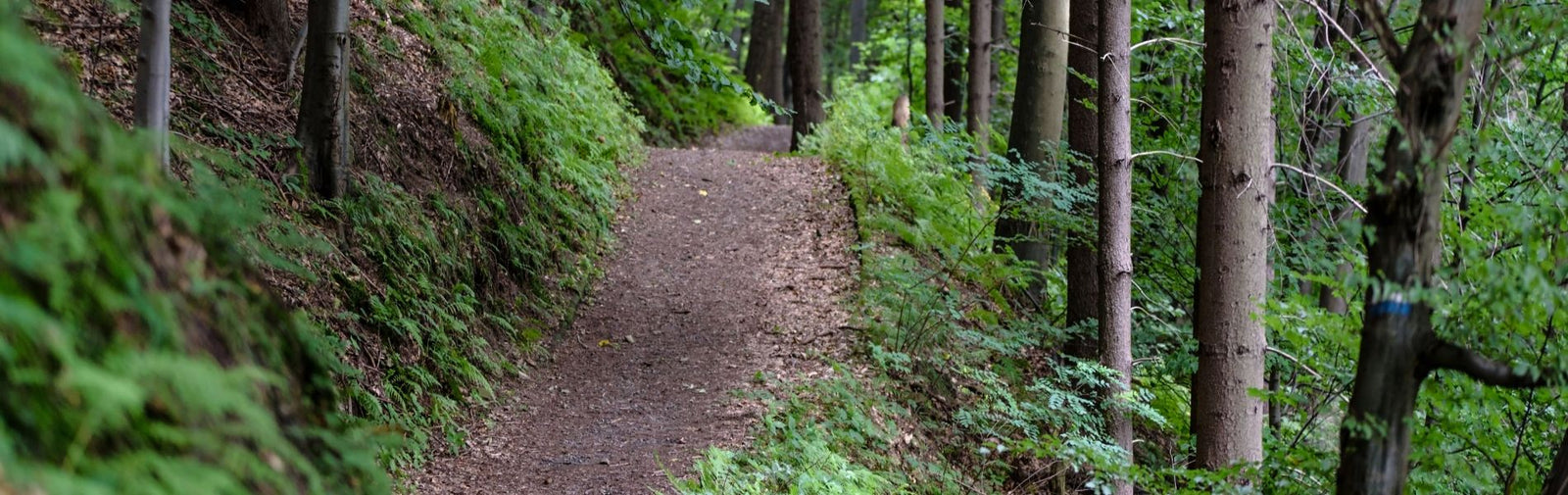 waterproof cases - ugo wear - hiking