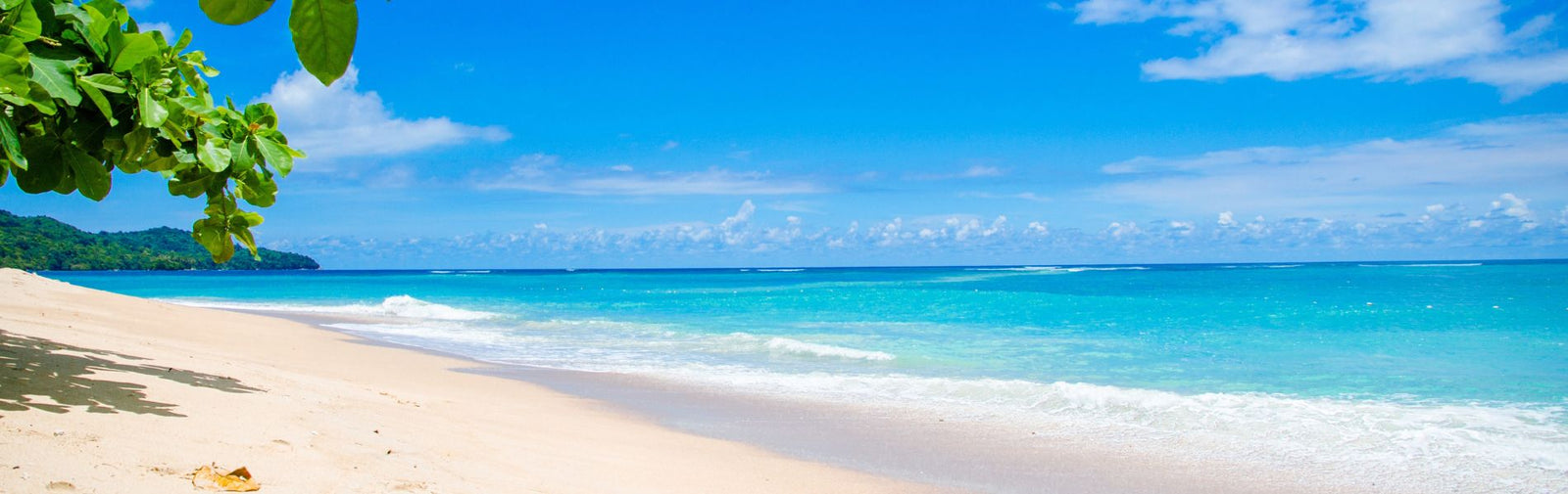 Beach Essentials: Why You Need a Waterproof Phone Case