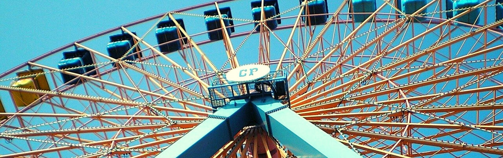 Best Waterproof Phone Case for Cedar Point Amusement Park