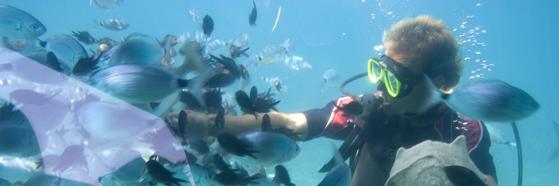 Testimonial Blog: Best Waterproof Bag for Snorkeling