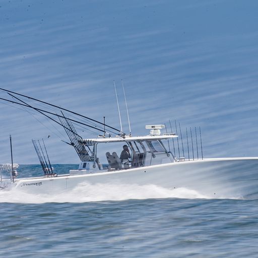 sport fishing championship - fast boat