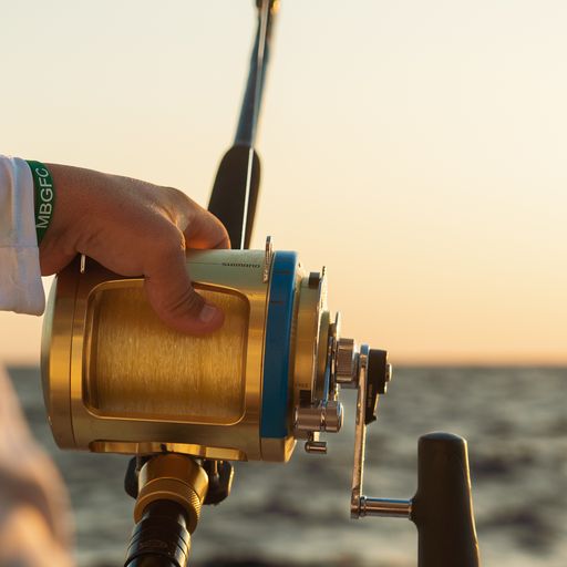Sport Fishing Championship - Reel